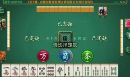 麻将配料爆料视频教程下载,跟随视频教程轻松掌握麻将美食制作技巧